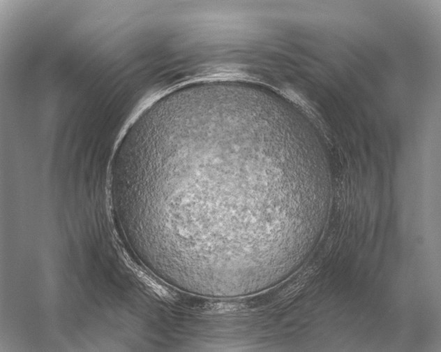 X0000058801374200510171335