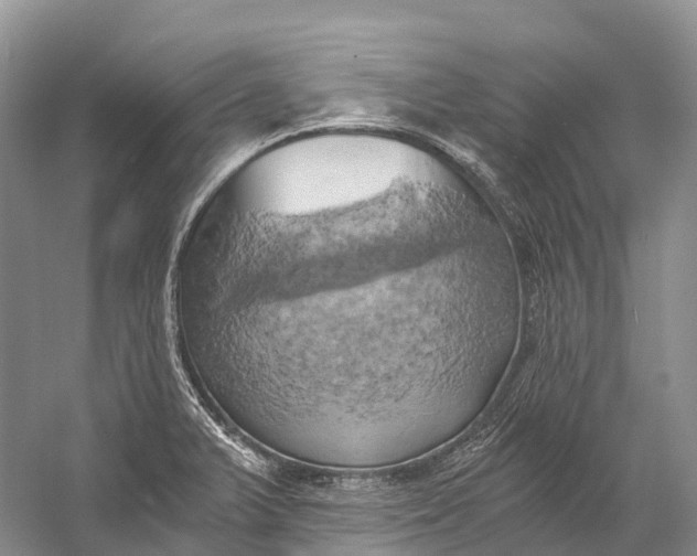 X0000058801375200510171335