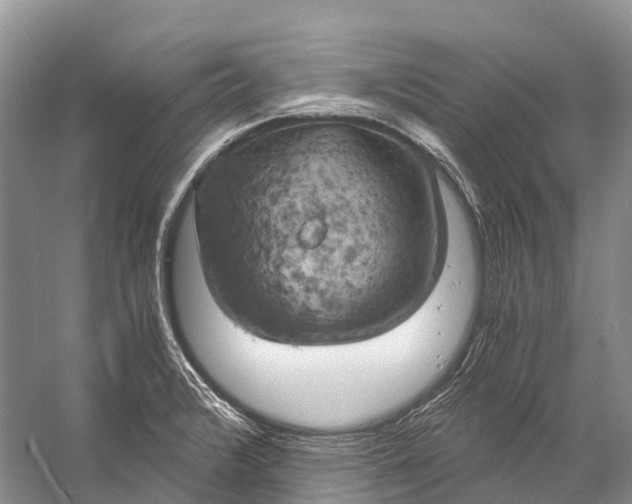 X0000058801376200510171335