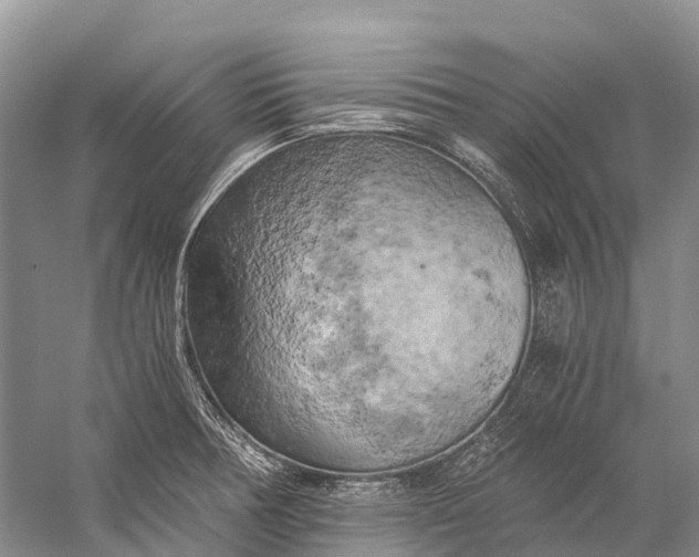 X0000058801378200510171335