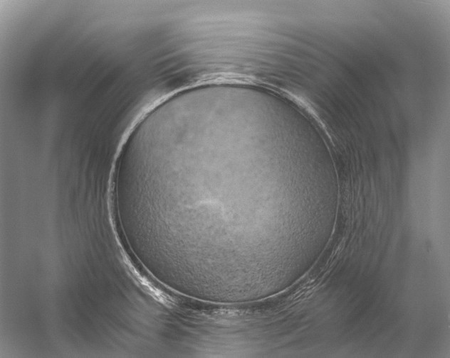 X0000058801379200510171335