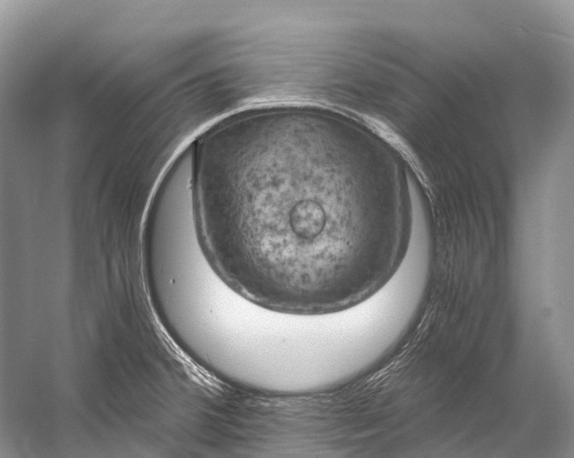 X0000058801380200510171335