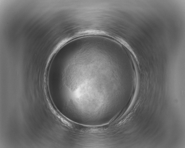 X0000058801381200510171335