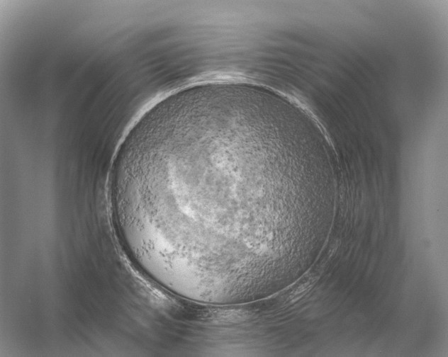 X0000058801382200510171335