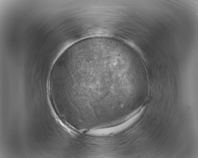 X0000058801383200510171335