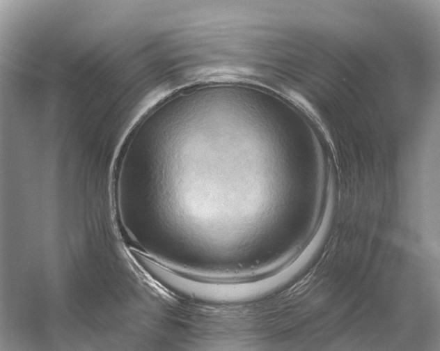 X0000058801384200510171335