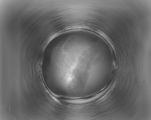 X0000058801385200510171335