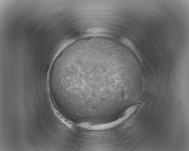 X0000058801386200510171335