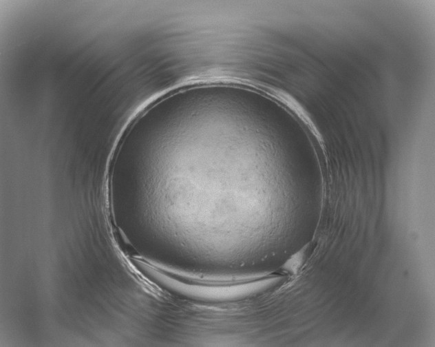 X0000058801388200510171335