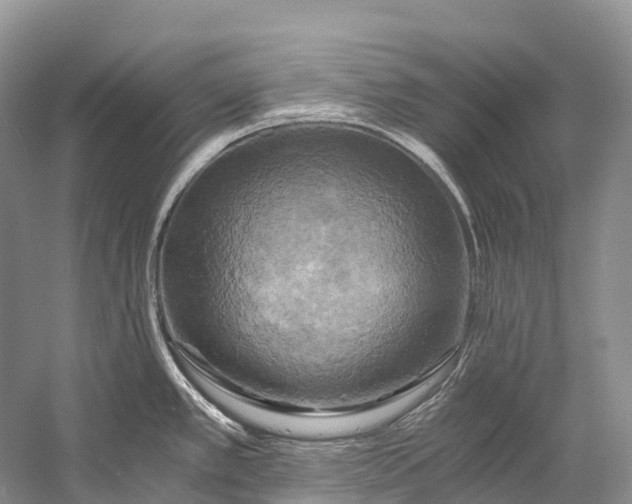 X0000058801389200510171335