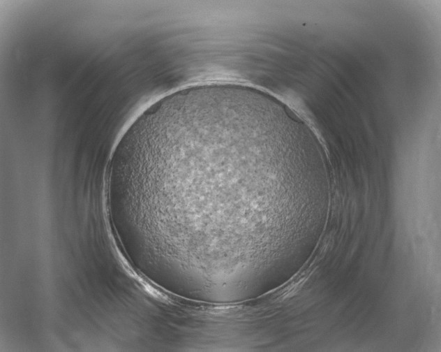 X0000058801390200510171335