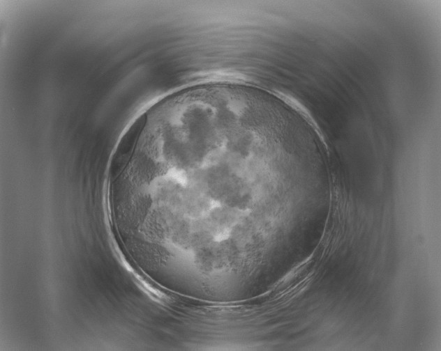 X0000058801391200510171335