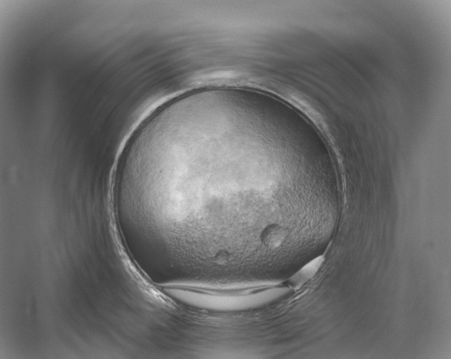 X0000058801392200510171335