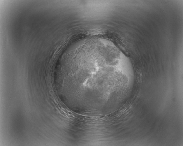 X0000058801393200510171334