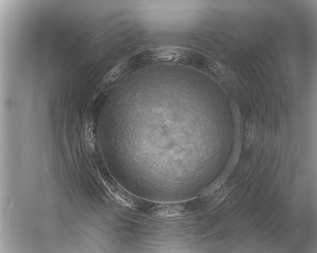 X0000058801394200510171334