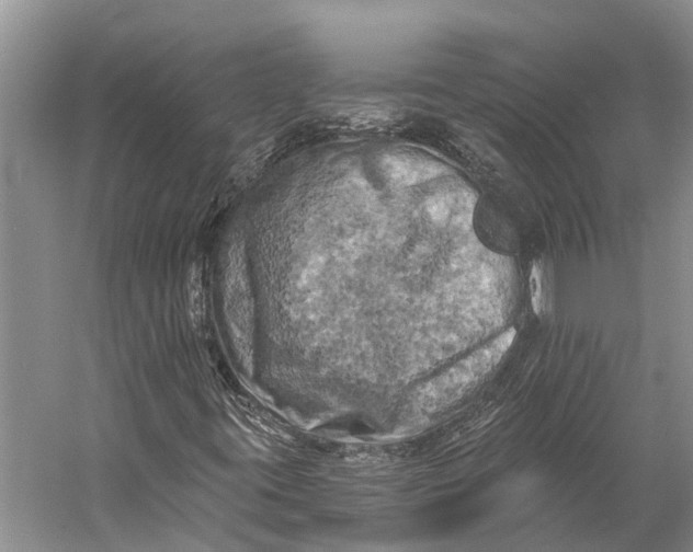 X0000058801395200510171334