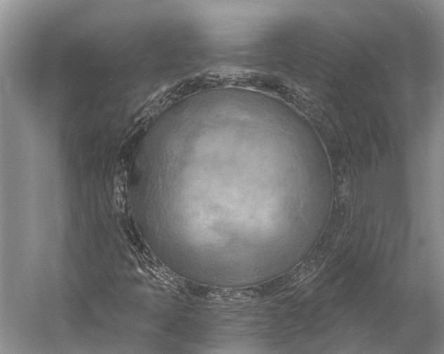 X0000058801397200510171334