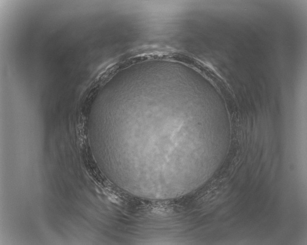 X0000058801399200510171334