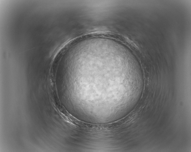 X0000058801400200510171334