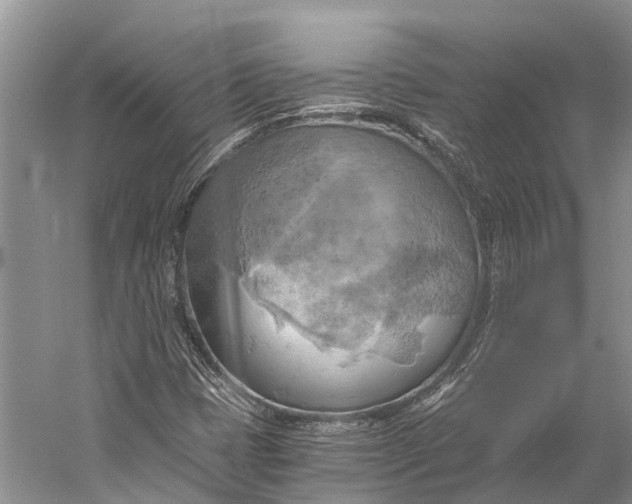 X0000058801401200510171334