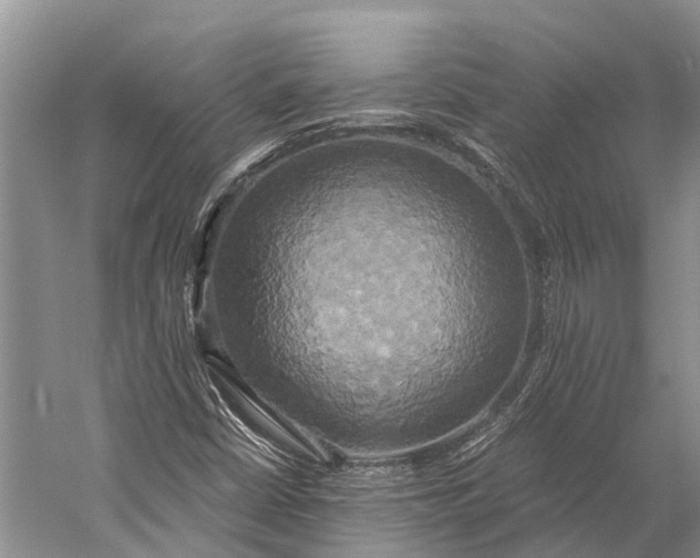 X0000058801402200510171334