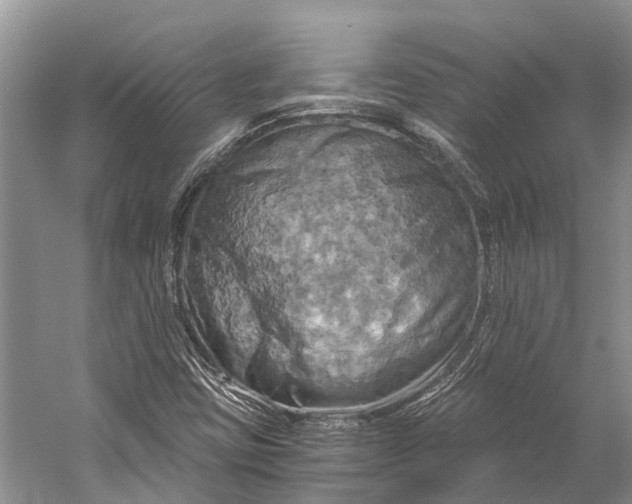 X0000058801403200510171334