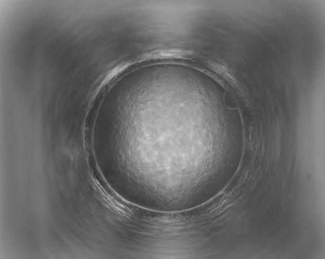 X0000058801404200510171334