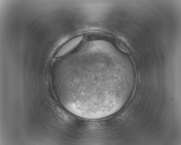 X0000058801405200510171334