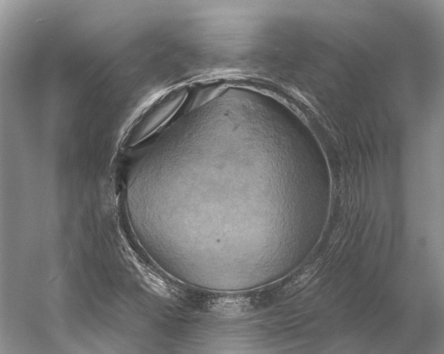 X0000058801406200510171334