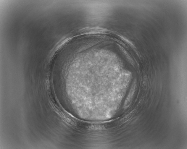 X0000058801407200510171334