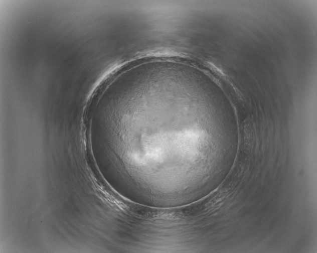 X0000058801408200510171334