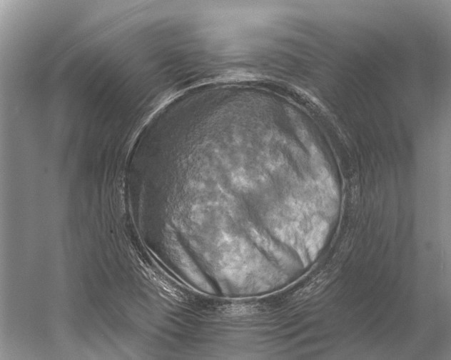 X0000058801409200510171334