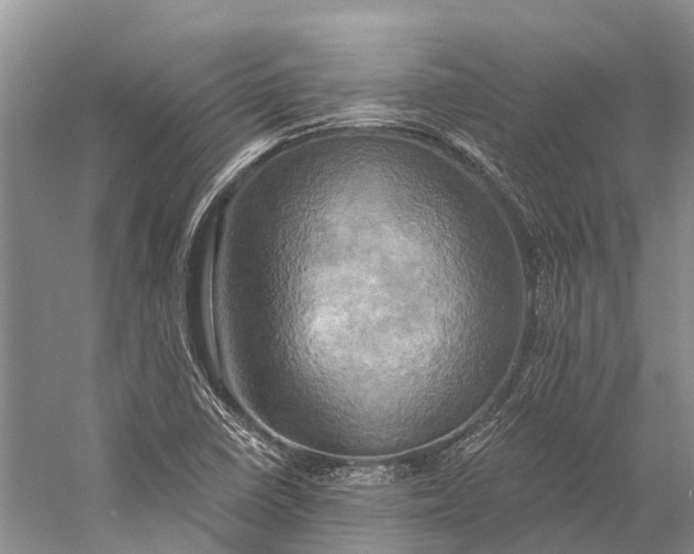 X0000058801410200510171334