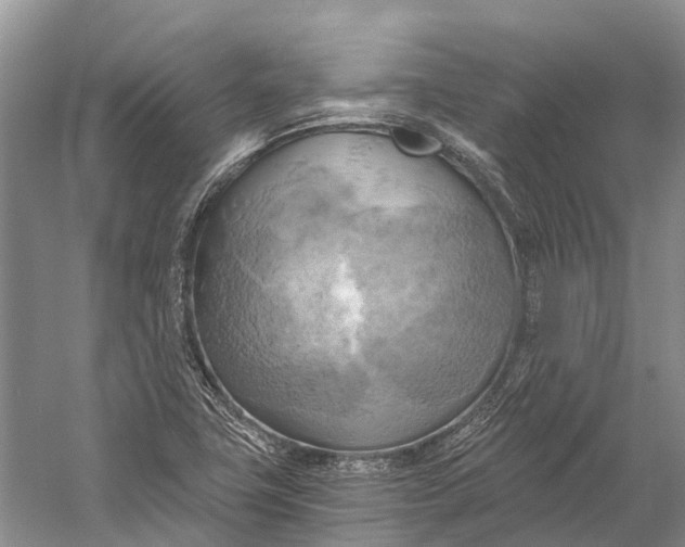 X0000058801411200510171334