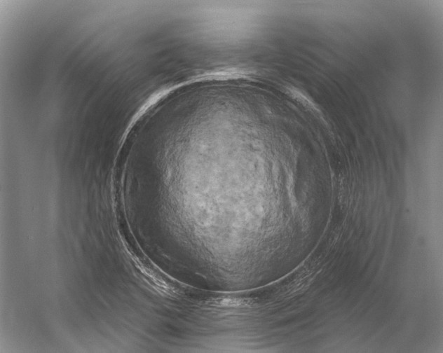 X0000058801412200510171334