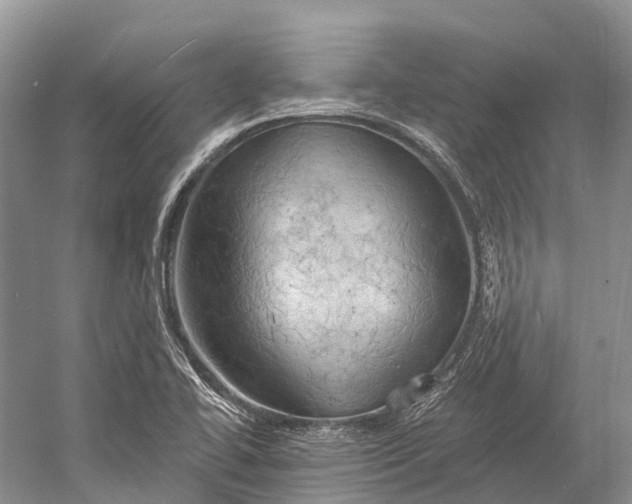 X0000058801414200510171335