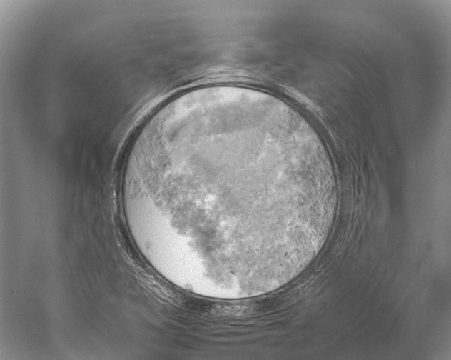 X0000058801415200510171335