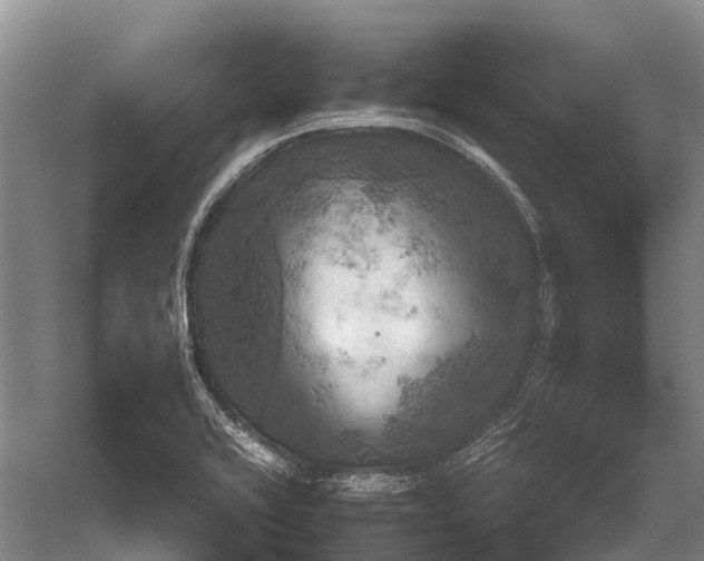 X0000058801416200510171335