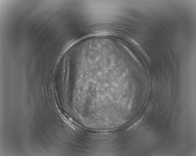 X0000058801417200510171335