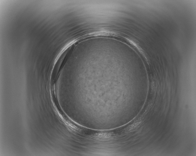 X0000058801418200510171335