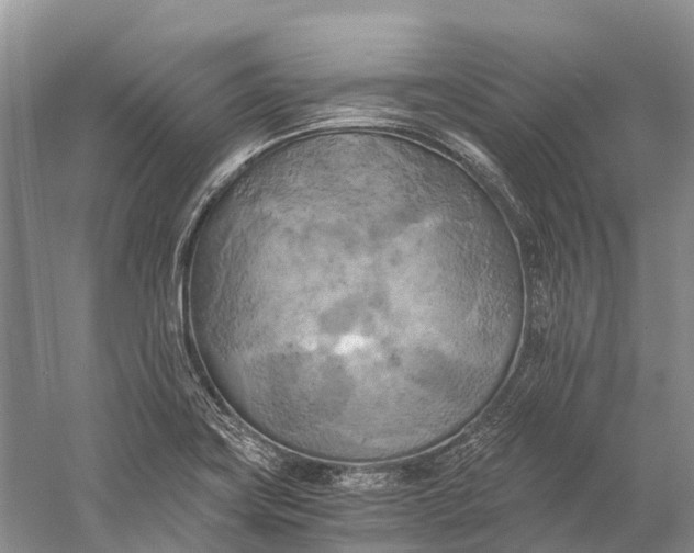 X0000058801419200510171335