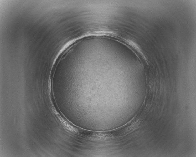 X0000058801420200510171335