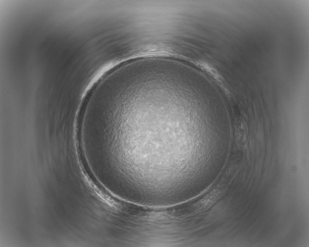 X0000058801422200510171335