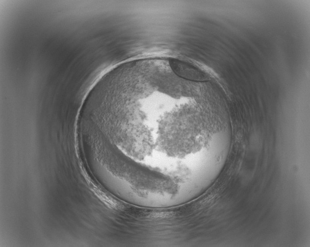 X0000058801423200510171335