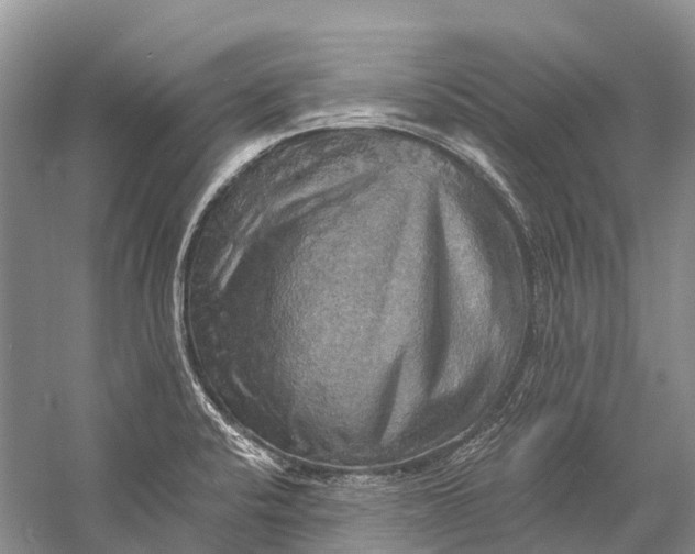 X0000058801424200510171335