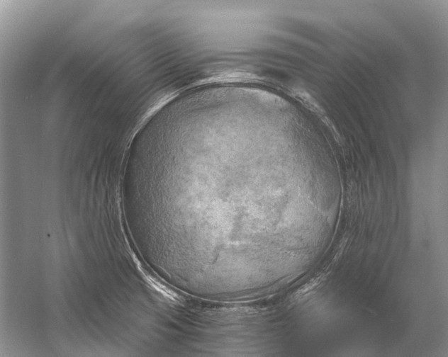 X0000058801425200510171335