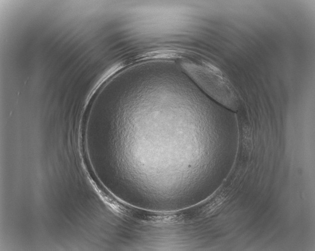 X0000058801426200510171335