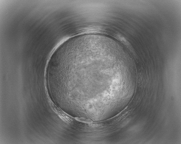 X0000058801427200510171335