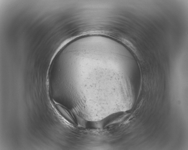 X0000058801428200510171335