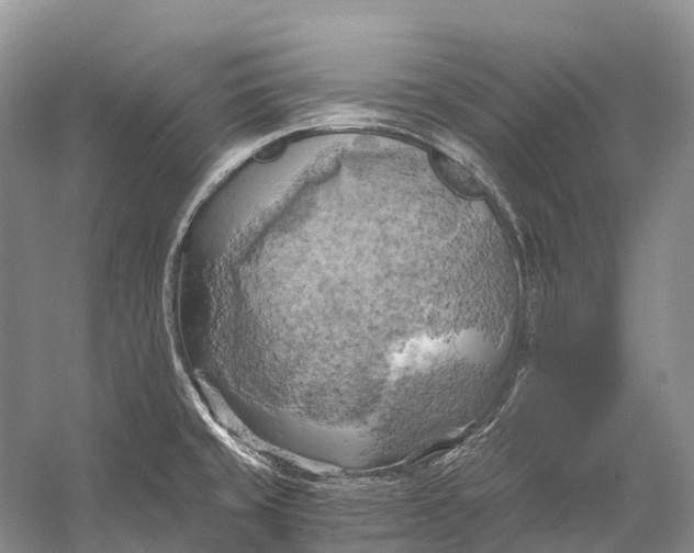 X0000058801429200510171335